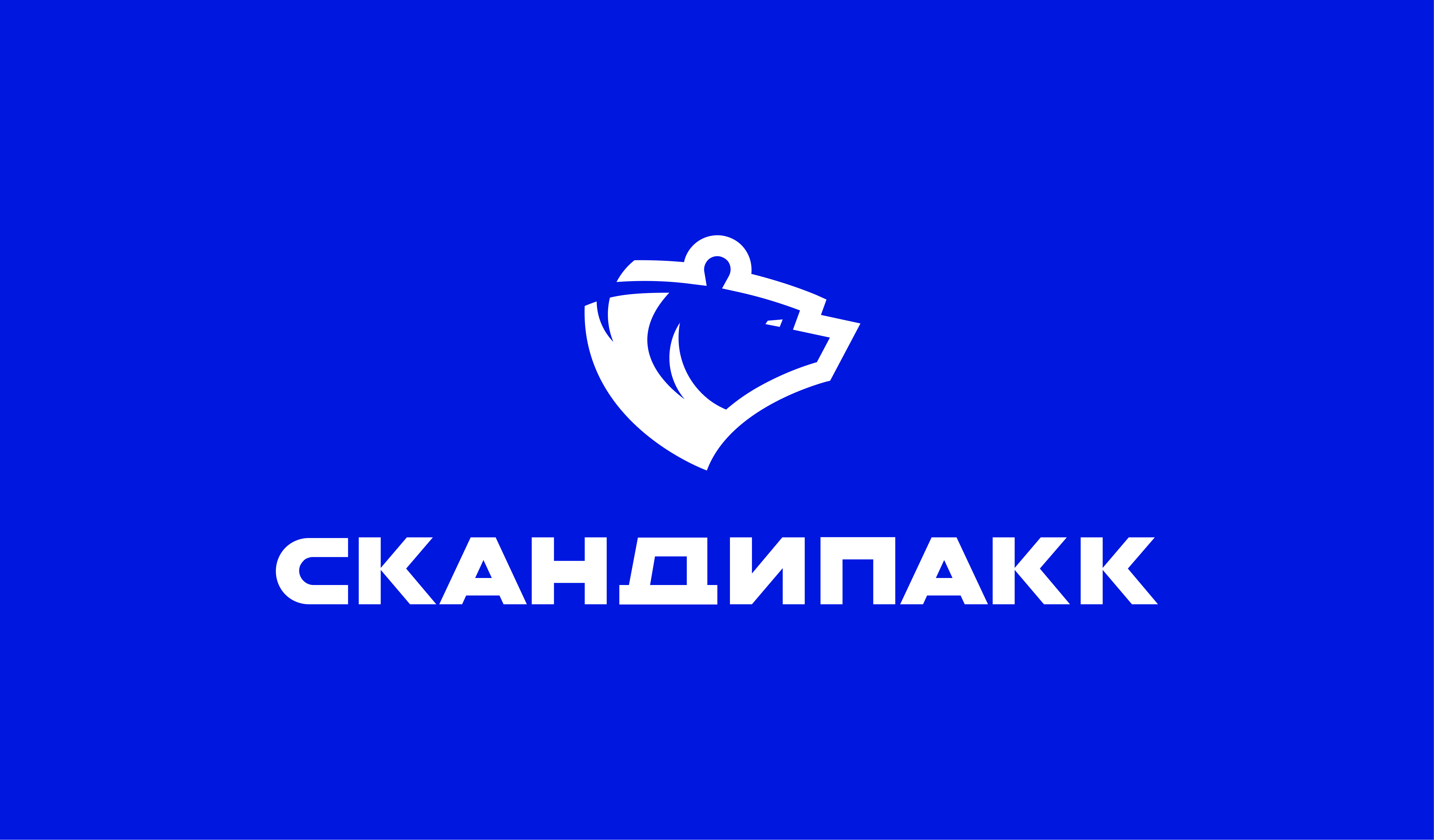 Компания «Скандипакк» на RosUpack 2024